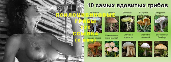 кокс Мегион